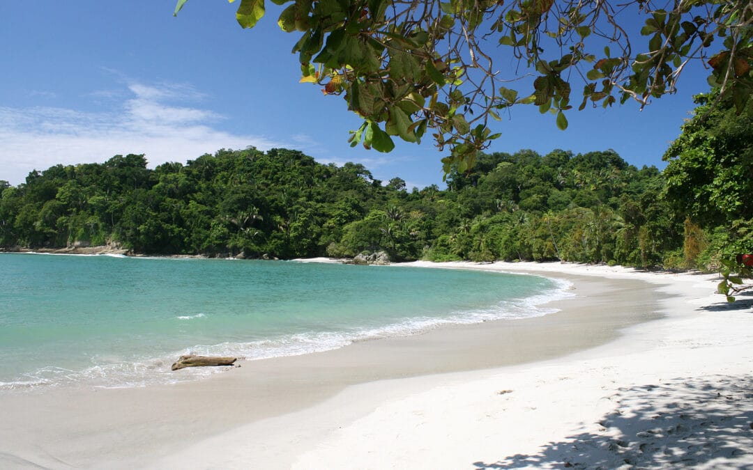 tropical beach in manual antonio national park Costa Rica