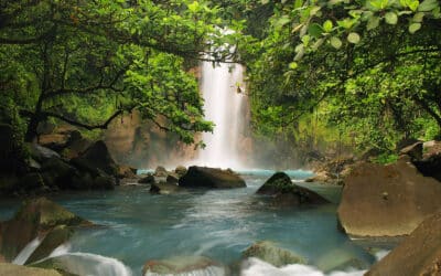 Exotic Costa Rican Vacations from Tripps Plus Reviews